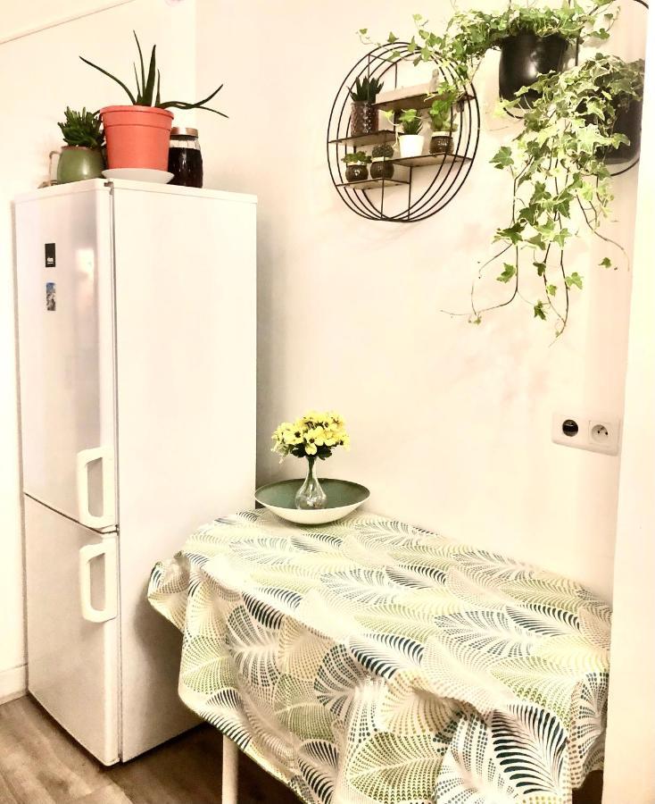Private Room 20 Minutes From Eiffel Tower Choisy-le-Roi Exterior photo